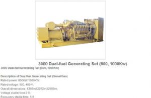 3000 dual-fuel generating sets 800，1000kw
